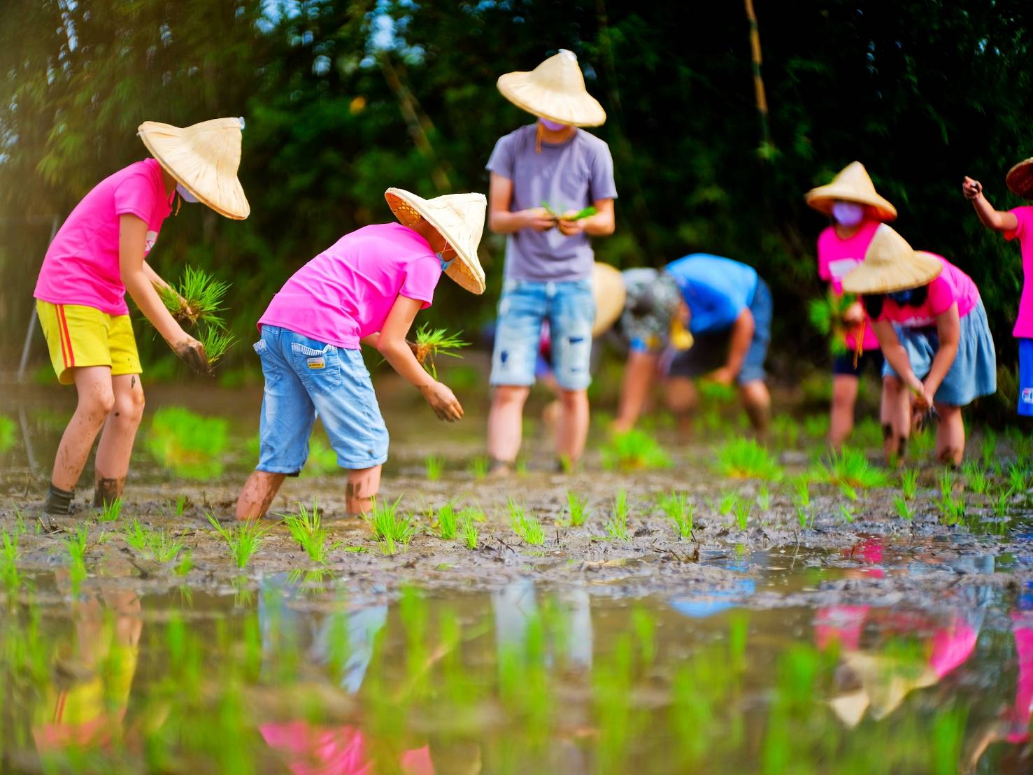 桃園綠旗認證連四年全國第一 社子國小獲永久綠旗（R3）再創環境教育新里程碑 (2).jpg